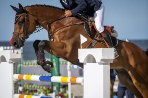 Read more about the article Leveraging Risk Intelligence and Threat Monitoring for Physical Security in the Equestrian Industry: Focusing on Major North American Locations